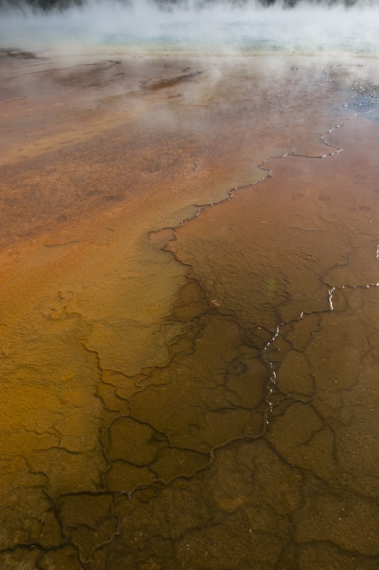 Detail Of Grand Prismatic Spring